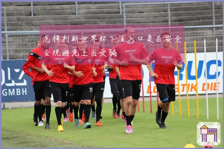 怎样判断世界杯下注入口是否安全合规避免上当受骗