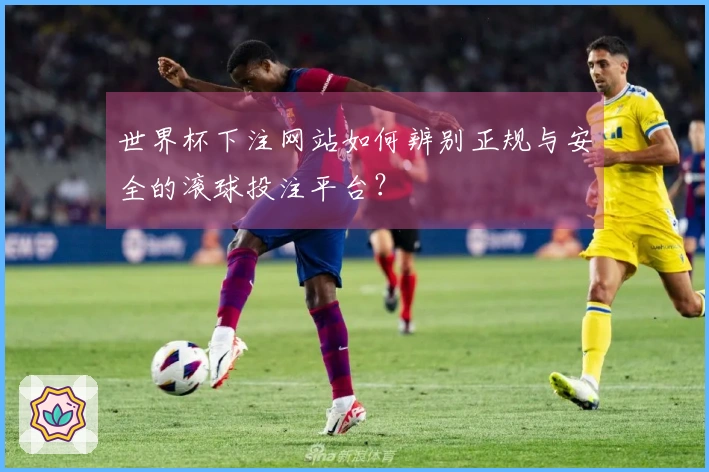 世界杯下注网站如何辨别正规与安全的滚球投注平台？