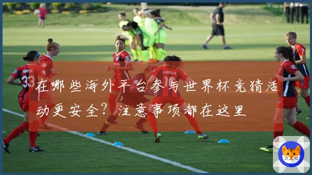 在哪些海外平台参与世界杯竞猜活动更安全？注意事项都在这里