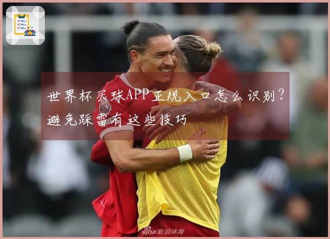 世界杯买球APP正规入口怎么识别？避免踩雷有这些技巧
