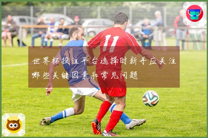 世界杯投注平台选择时新手应关注哪些关键因素和常见问题