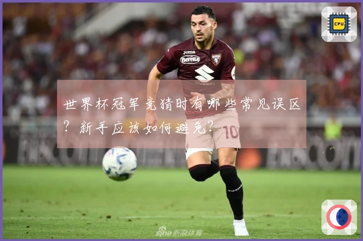 世界杯冠军竞猜时有哪些常见误区？新手应该如何避免？