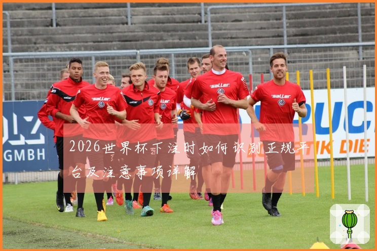 2026世界杯下注时如何识别正规平台及注意事项详解
