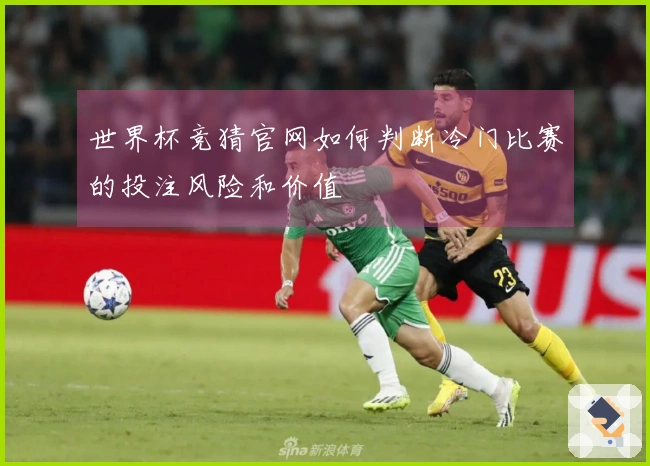 世界杯竞猜官网如何判断冷门比赛的投注风险和价值