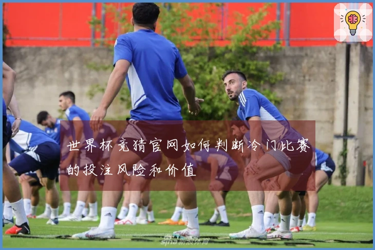 世界杯竞猜官网如何判断冷门比赛的投注风险和价值