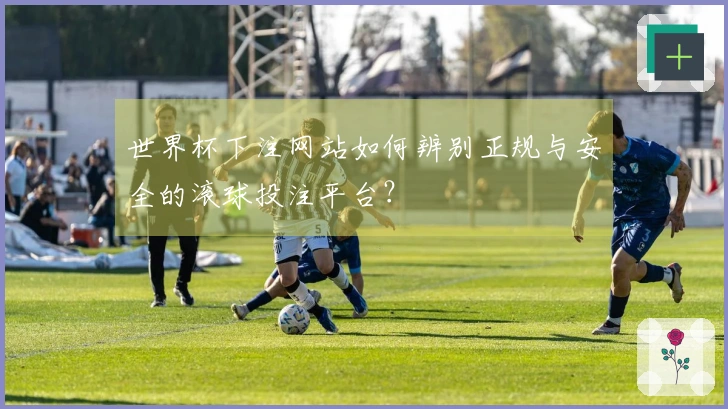 世界杯下注网站如何辨别正规与安全的滚球投注平台?