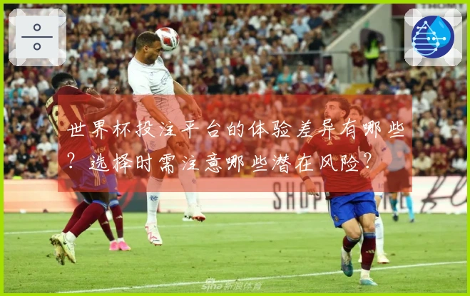 世界杯投注平台的体验差异有哪些？选择时需注意哪些潜在风险？
