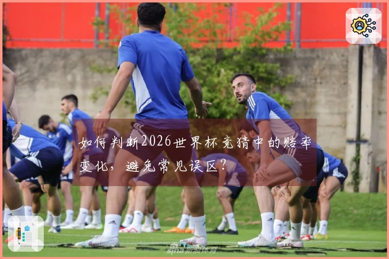 如何判断2026世界杯竞猜中的赔率变化，避免常见误区？