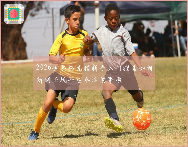 2026世界杯竞猜新手入门指南如何辨别正规平台和注意事项