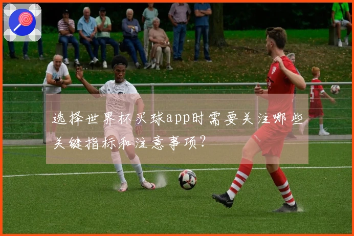 选择世界杯买球app时需要关注哪些关键指标和注意事项？