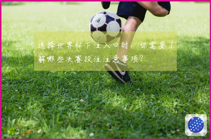 选择世界杯下注入口时，你需要了解哪些决赛投注注意事项？