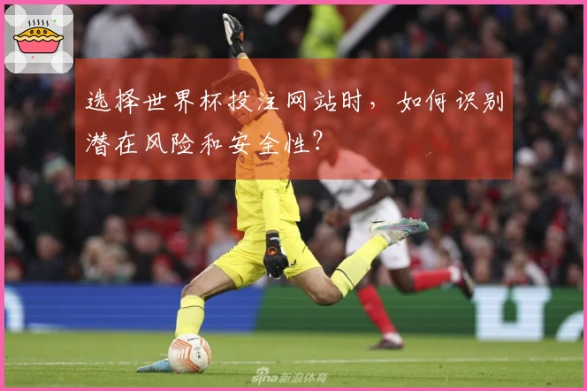 选择世界杯投注网站时，如何识别潜在风险和安全性？